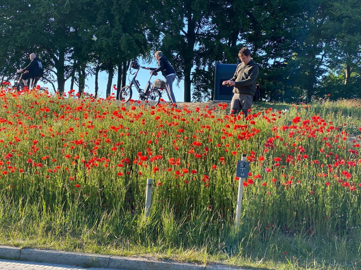 Fewo Tini Am Strandzugang Mit Wlan Inklusive, Keine Haustiere Zingst Kültér fotó